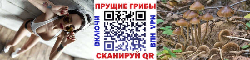 МЕГА tor Мыски Галлюциногенные грибы Psilocybe